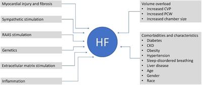 Assessing clinical and biomarker characteristics to optimize the benefits of sacubitril/valsartan in heart failure